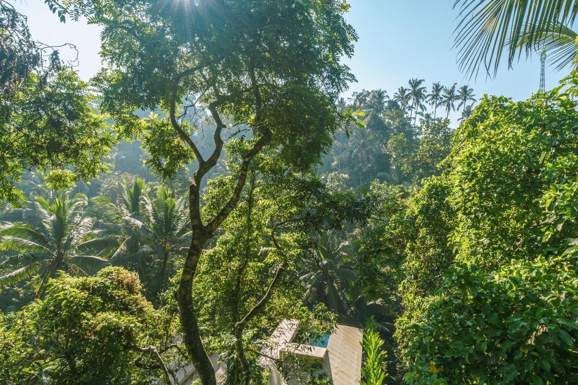 K Club Ubud 客房 照片